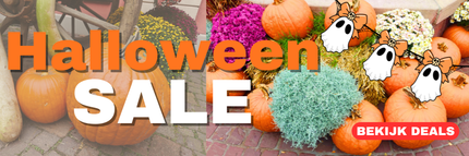 Collection image for: SALE