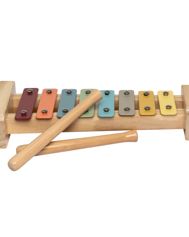 Xylofoon Harlekin muziekspeelgoed